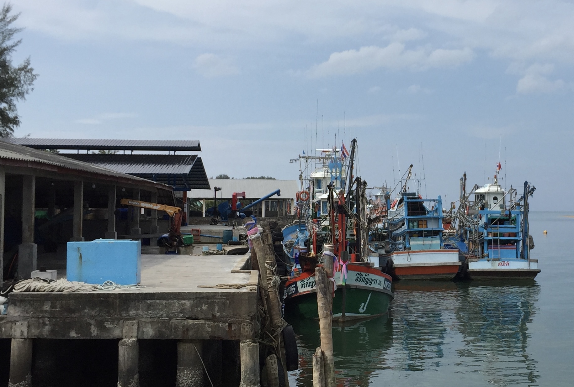 ACC11630-D09A-4937-A99A-19638327701D_1_201_a